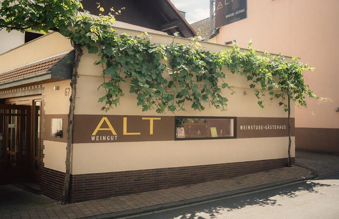 Weingut und Gästehaus Holger Alt-1